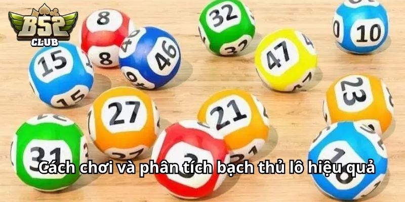 Cách chơi và phân tích bạch thủ lô hiệu quả cho người mới 